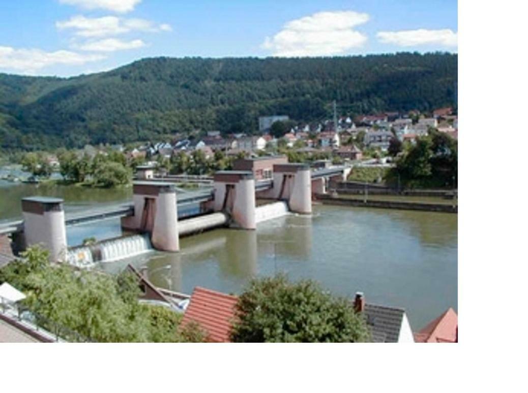 Christel Hirschhorn-neckar Apartment *